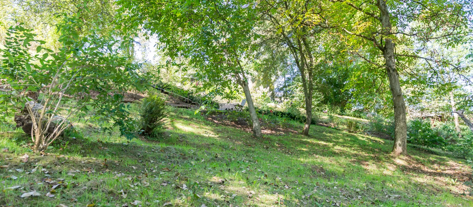 1770285771-21) wilde tuin (19)